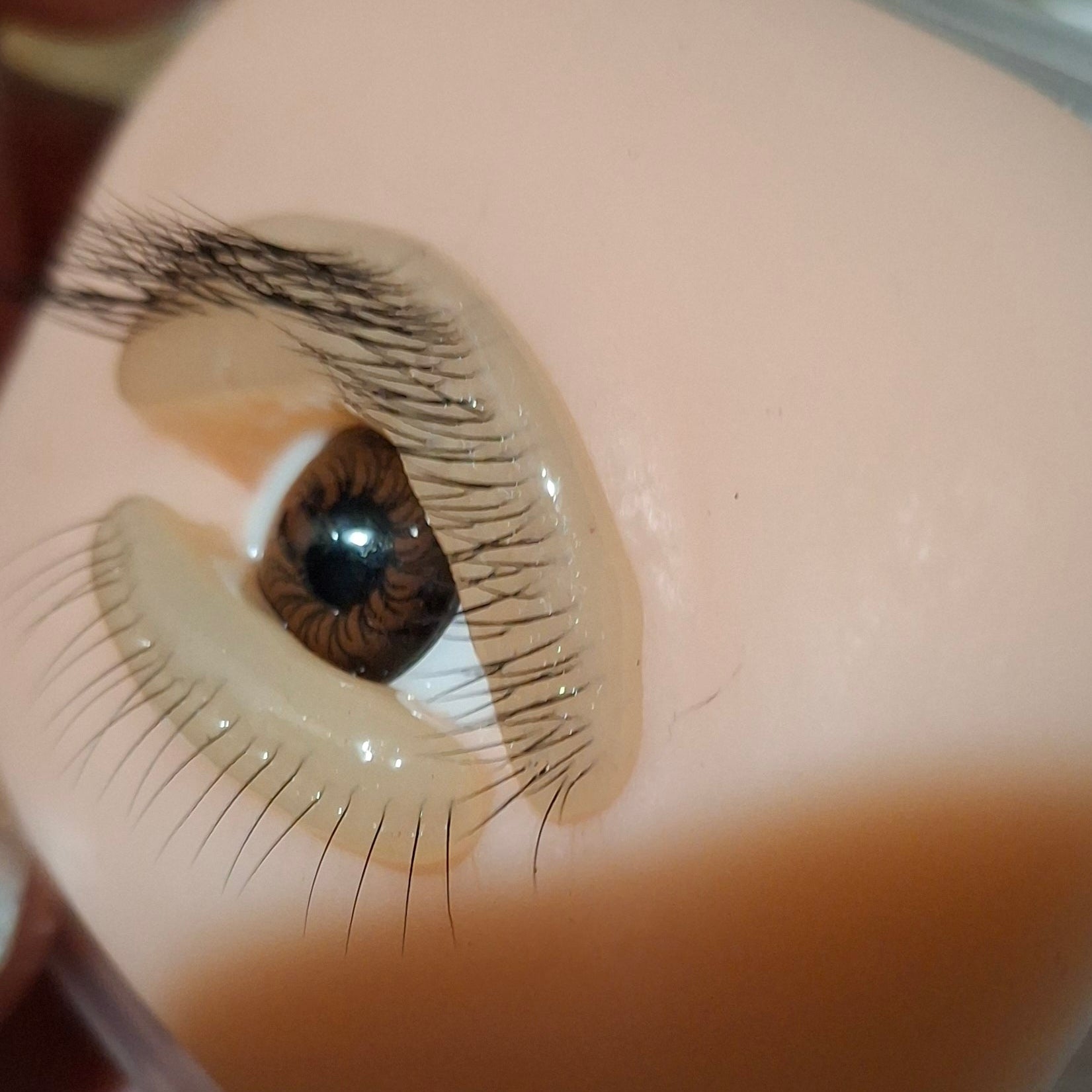 VelourLuxLashes gyakorló szem